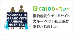 calooペット 動物病院口コミサイトカルーペットに当院が掲載されました。