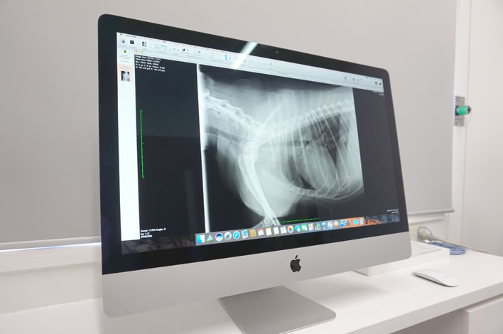 画像管理ソフトウェア(OsiriX)