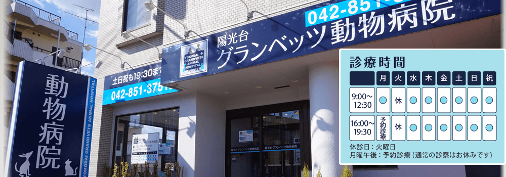 陽光台グランベッツ動物病院